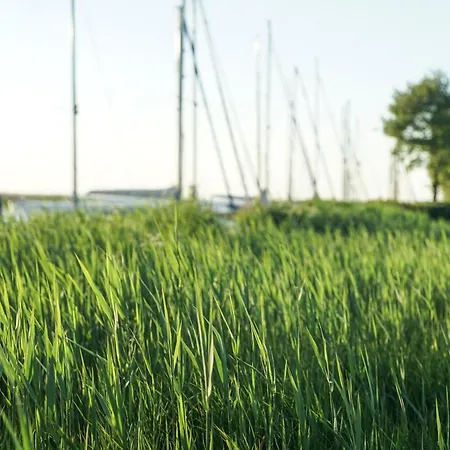 Am Stettiner Haff Monkebude