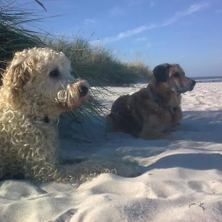 Am Stettiner Haff Апартаменты *